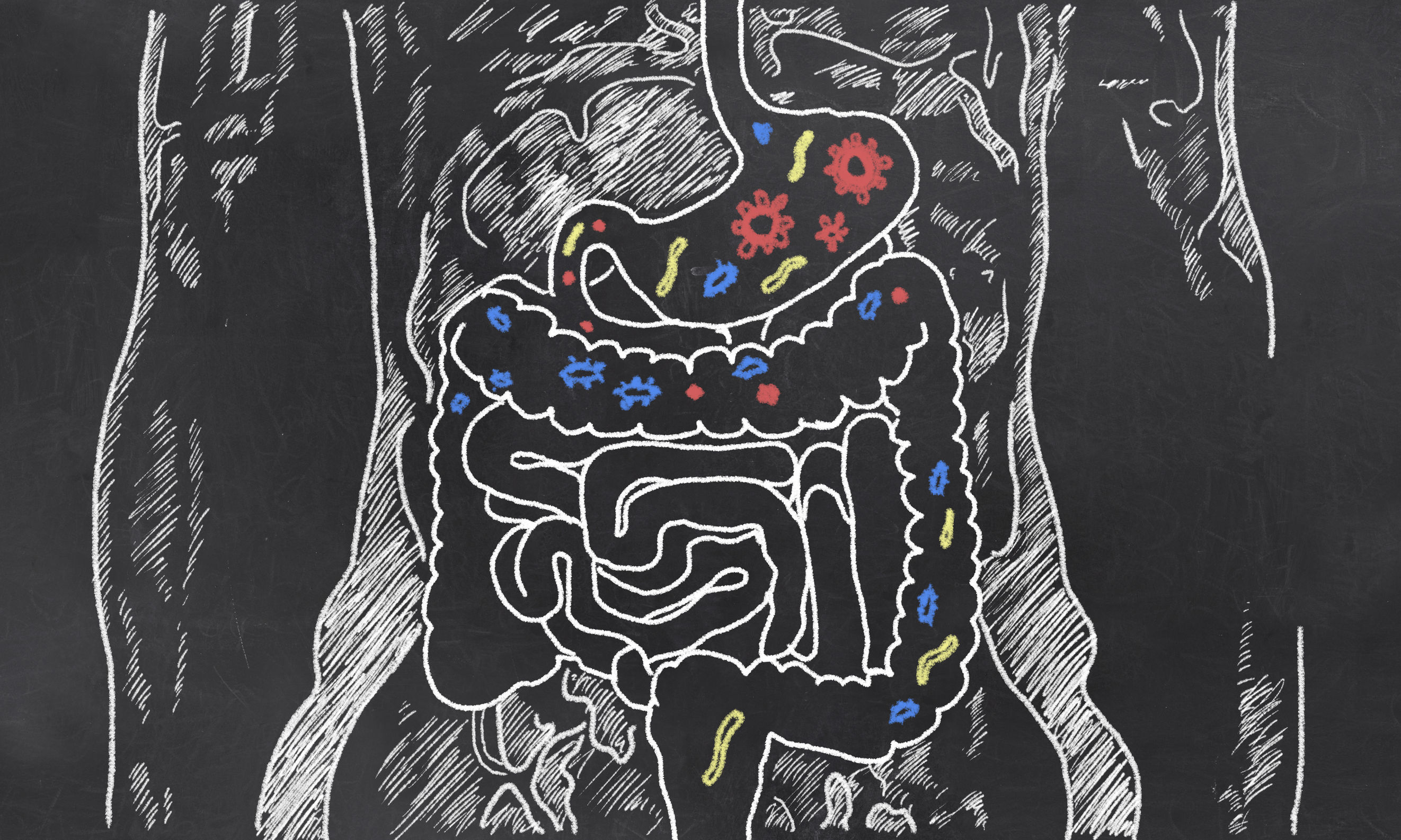 Microbiote intestinal irritable